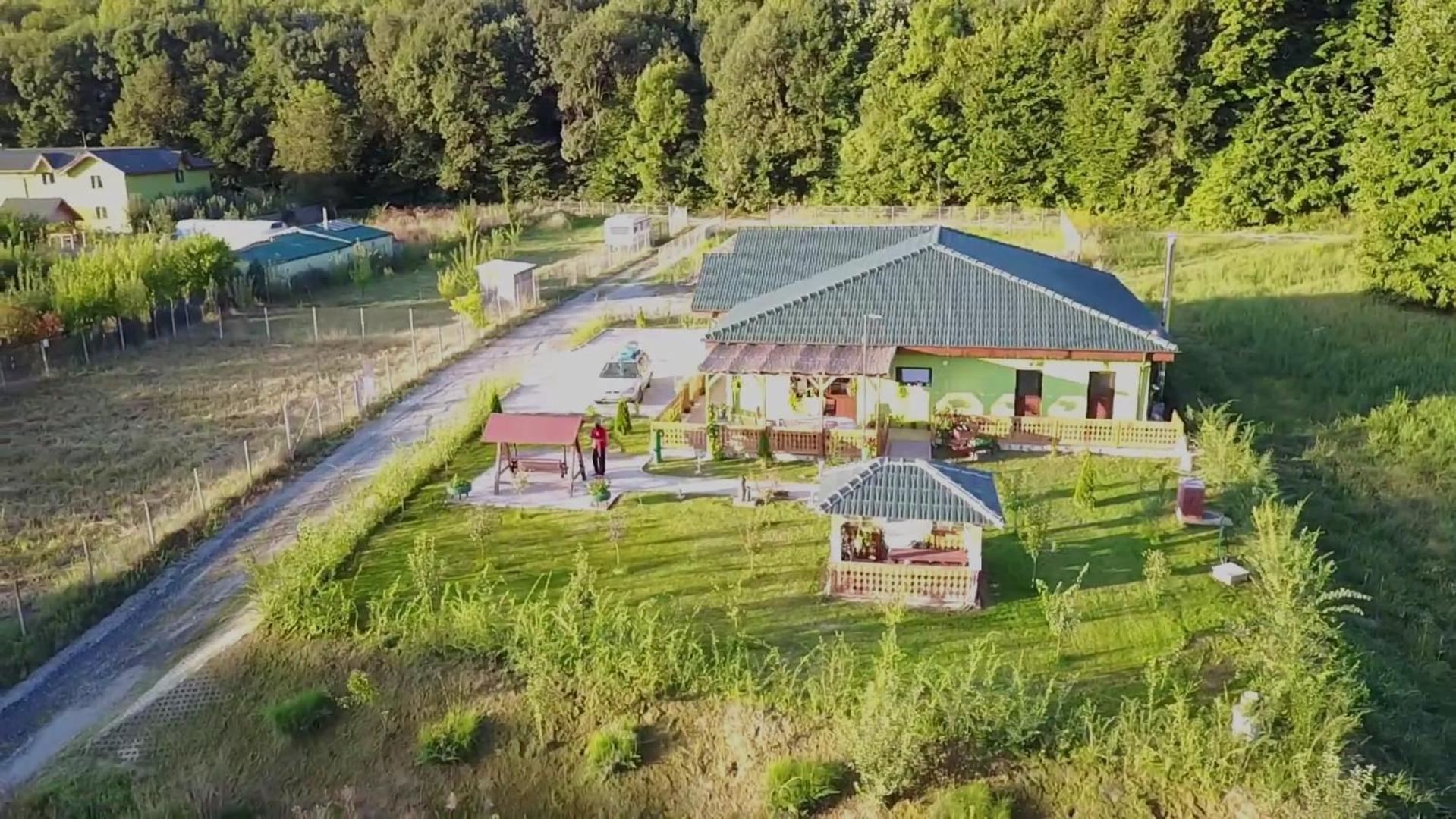 Agropensiunea Valea Fagilor Luncavita Экстерьер фото