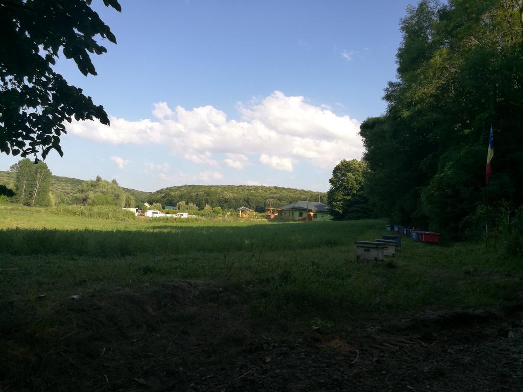 Agropensiunea Valea Fagilor Luncavita Экстерьер фото