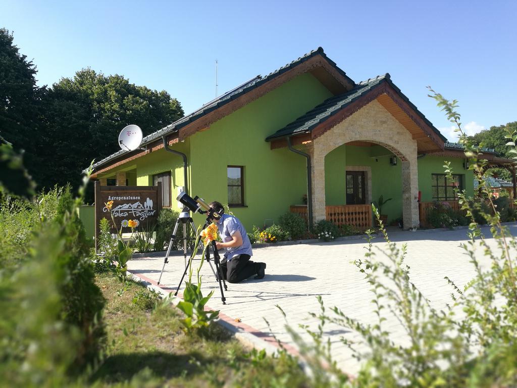 Agropensiunea Valea Fagilor Luncavita Экстерьер фото