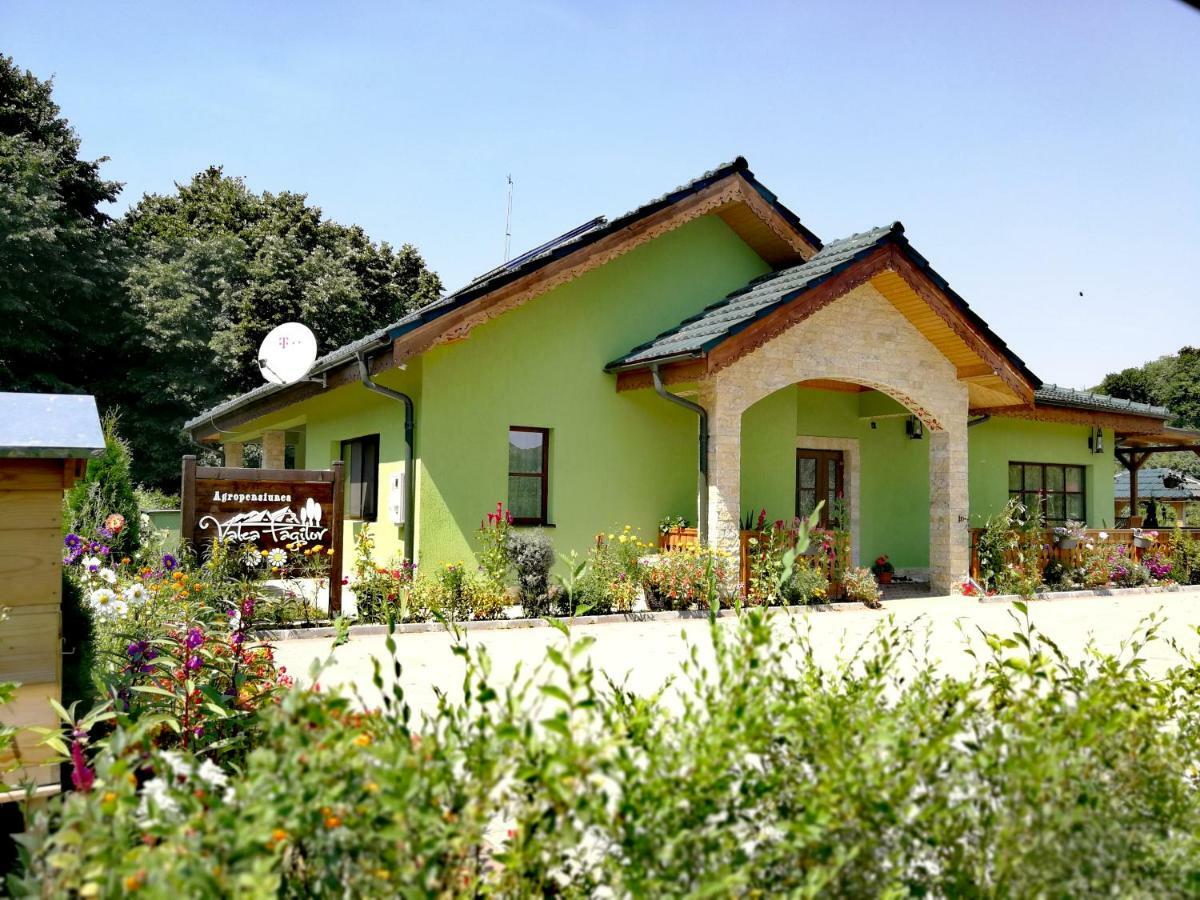 Agropensiunea Valea Fagilor Luncavita Экстерьер фото