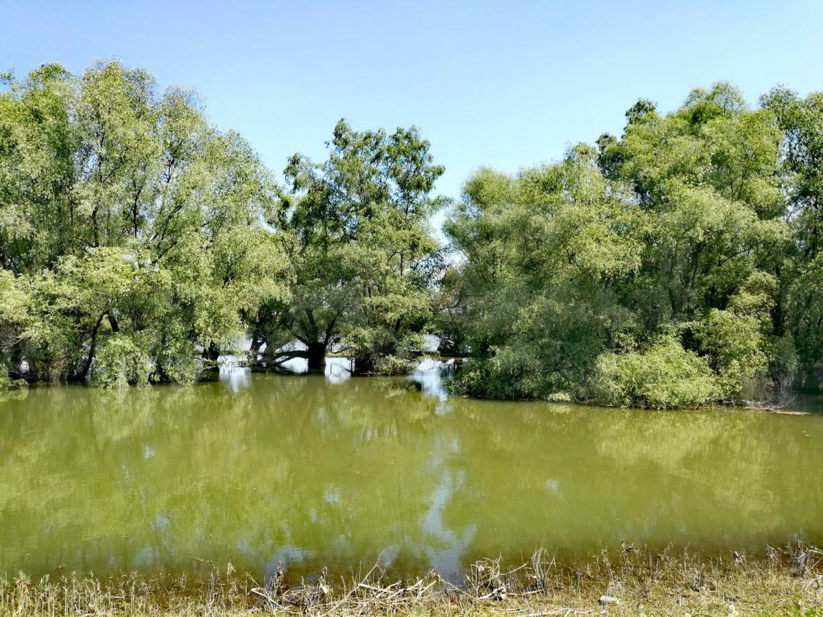 Agropensiunea Valea Fagilor Luncavita Экстерьер фото